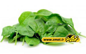 Young spinach leaves in isolated white background