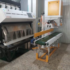 کیسه پرکن برنج نصب شده در کارخانه برنج کوبی همراه نوار نقاله تنظیم ارتفاع برقی ودوخت اتومات شده همرا شروع وپایان کار اتومات وبرش نخ اتومات