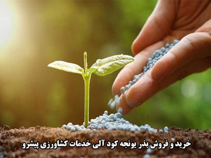خرید و فروش بذر یونجه کود آلی خدمات کشاورزی پیشرو در ایرانشهر سیستان