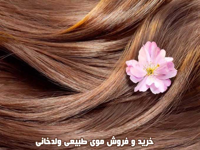 خرید و فروش موی طبیعی ولدخانی در تهران