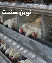 تجهیزات مرغداری و گلخانه ای نوین صنعت در قزوین