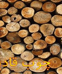 چوب قادری در کردستان