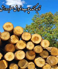 تولید کننده چوب و فروش صنوبر و راش، توسکا کارن در آمل