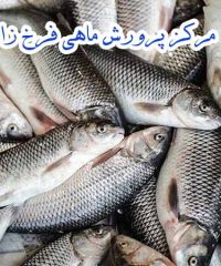 مرکز پرورش ماهی فرخ زاد در بهشهر