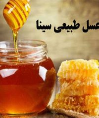 تولید عسل طبیعی سینا در نیکشهر