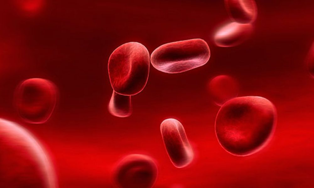 چه غذاها و موادی خون ساز هستند؟