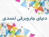 دنیای جاروبرقی احمدی در یزد