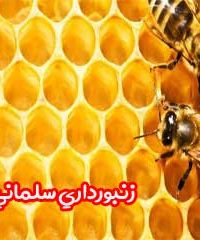 زنبورداری سلمانی در مشهد