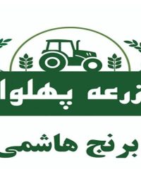 تولید و فروش انواع بهترین برنج بیولوژیک ایرانی و برنج رنگی قرمز مزرعه پهلوان در آمل مازندران