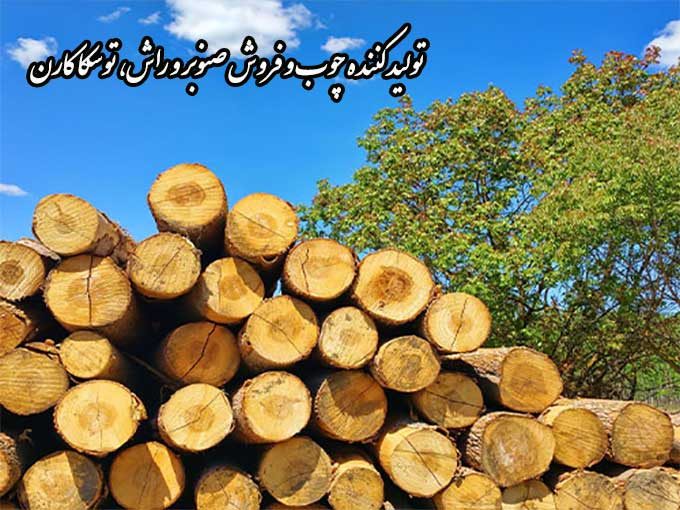 تولید کننده چوب و فروش صنوبر و راش، توسکا کارن در آمل