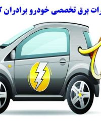تعمیرات برق تخصصی خودرو برادران کیوانی در بیرجند