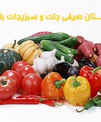 نهالستان صیفی جات و سبزیجات باغ صبا در بوشهر