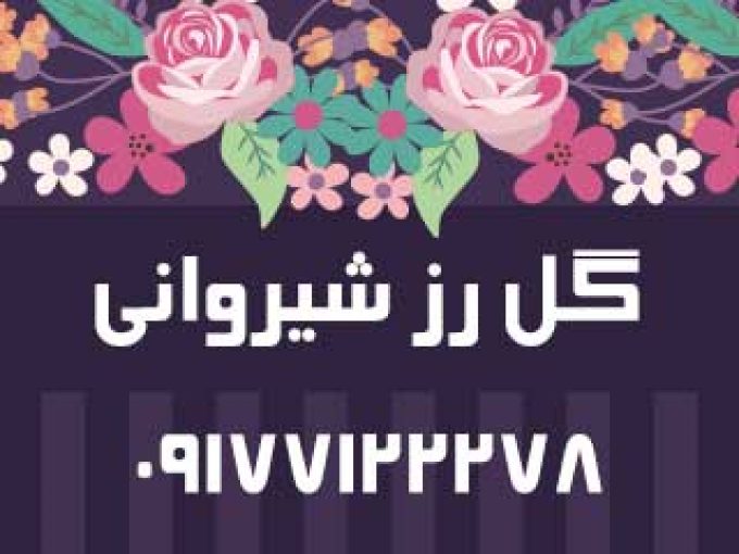 گل رز شیروانی در فارس