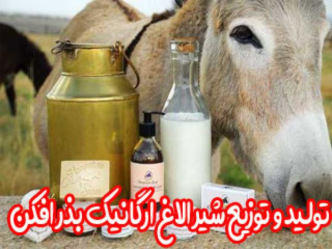 تولید و توزیع شیر الاغ ارگانیک بذر افکن در فارس