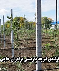 کارگاه تولیدی تیرچه داربستی برادران حاجی محمدی در قزوین