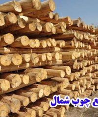 فروش چوب صنوبر شرکت صنایع چوب شمال در آستانه اشرفیه گیلان