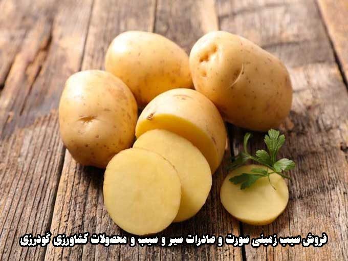 فروش سیب زمینی سورت و صادرات سیر و سیب و محصولات کشاورزی گودرزی در همدان