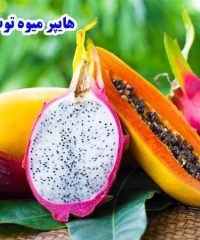 پخش و فروش آنلاین انواع میوه های استوایی صیفی جات و سبزیجات زارعی در همدان