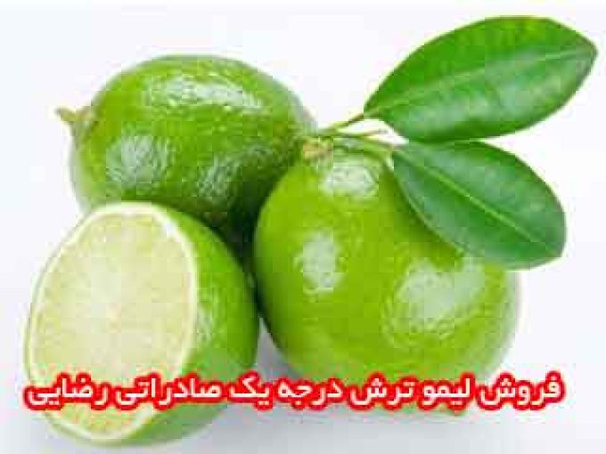 فروش لیمو ترش درجه یک صادراتی رضایی در قیروکارزین فارس
