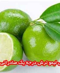 فروش لیمو ترش درجه یک صادراتی رضایی در قیروکارزین فارس