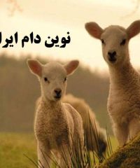 خدمات دامپزشکی و دامپروری سونوگرافی و تلقیح مصنوعی نوین دام ایرانیان در ماهدشت کرج