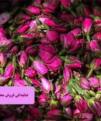 نمایندگی فروش محصولات گلاب طوبی در کاشان