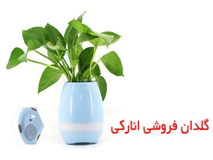 گلدان فروشی انارکی در کرمان