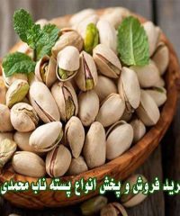 صادرات خرید فروش و پخش انواع پسته ناب محمدی در رفسنجان کرمان