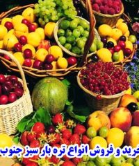 خرید و فروش انواع تره بار سبز جنوب سلیمانی در کرمان