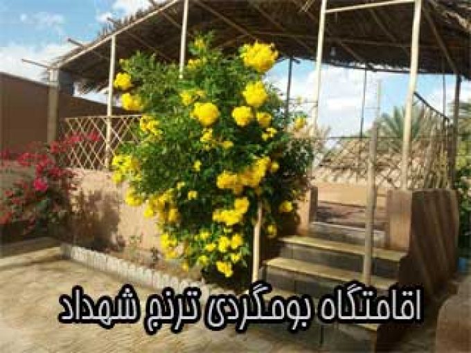 اقامتگاه بومگردی ترنج شهداد در کرمان