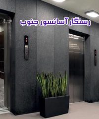 نصب و راه اندازی انواع آسانسور رستگار آسانسور جنوب در خوزستان