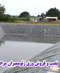 طراحی و اجرا استخر کشاورزی پرورش ماهی ژئوممبران مرادی در خوزستان