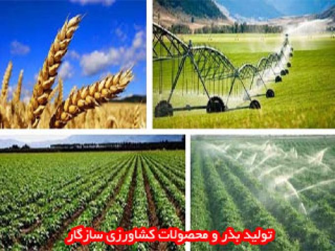 تولید بذر و محصولات کشاورزی سازگار در مشهد