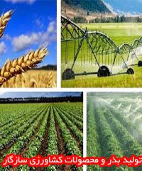 تولید بذر و محصولات کشاورزی سازگار در مشهد