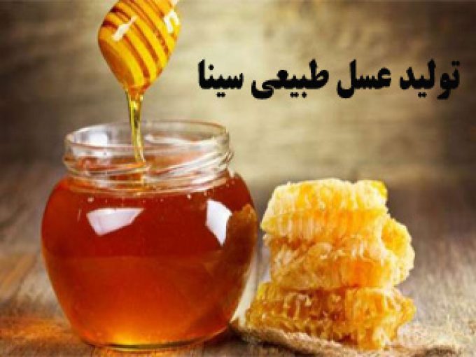 تولید عسل طبیعی سینا در نیکشهر