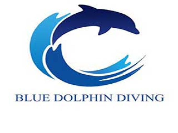 کلوپ غواصی دلفین آبی در قشم
