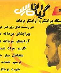 آموزشگاه و آرایشگاه های زنجیره ای مردانه گیلان فارس در شیراز