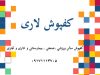 کفپوش سالن ورزشی و صنعتی لاری در شیراز