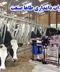 ساخت باکس شیردوش و ادوات دامداری و فریم استال طاها صنعت در فارس