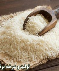 تولید و عرضه برنج های مازندران گیلان بارانی