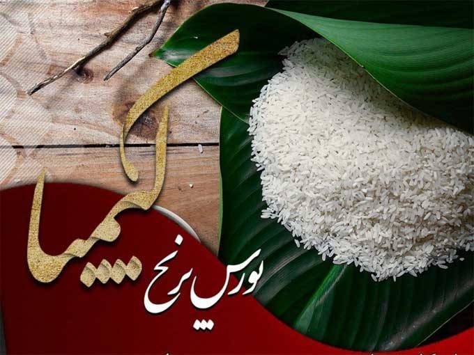 تولید و عرضه مستقیم انواع برنج ایرانی کیمیا در تالش گیلان