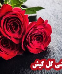 گلفروشی گل کیش در زنجان