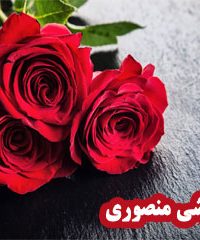 گلفروشی منصوری در زنجان