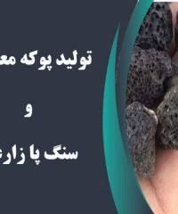 تولید پوکه معدنی و سنگ پا زارعی در کردستان