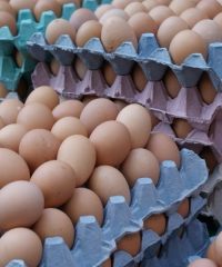 بزرگترین مرکز تهیه و فروش تخم مرغ محلی تک‌زرده و دوزرده در کرمانشاه