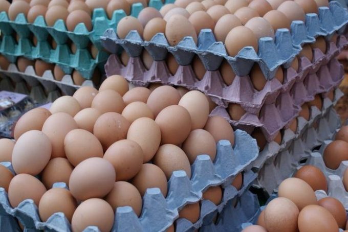 بزرگترین مرکز تهیه و فروش تخم مرغ محلی تک‌زرده و دوزرده در کرمانشاه