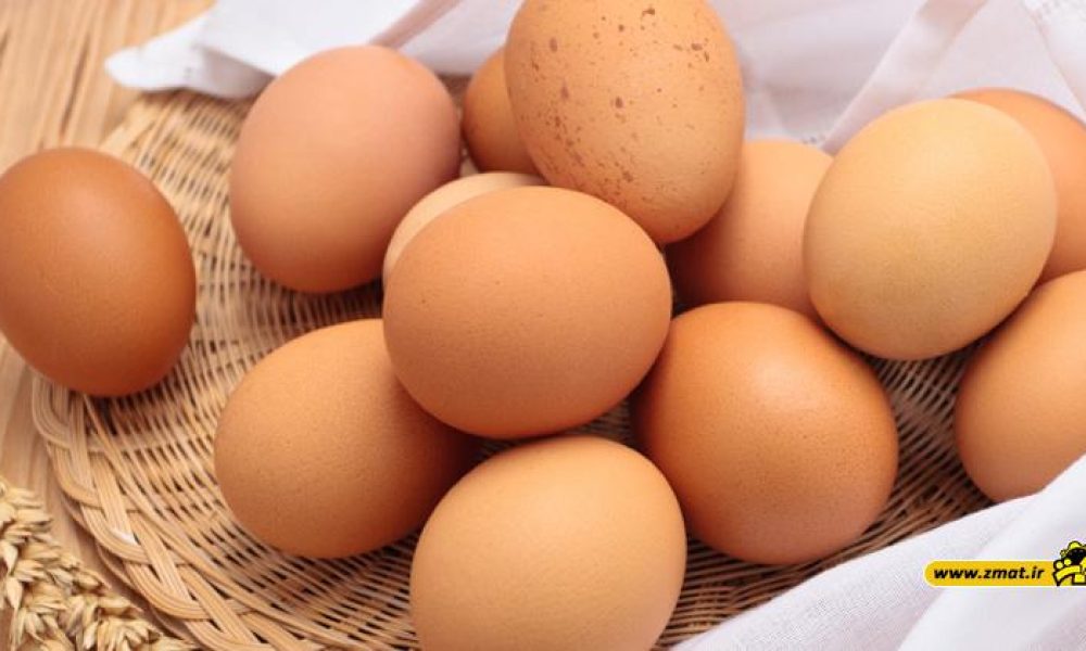 خواص تخم مرغ ، مقدار مصرف تخم مرغ