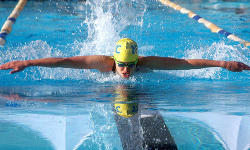 فواید ورزش شنا