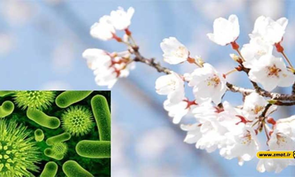 شایع ترین بیماری های ویروسی در بهار