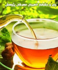 تهیه و پخش چای سنتی لاهیجان و بادام آستانه مهرگان پژوهش در آمل